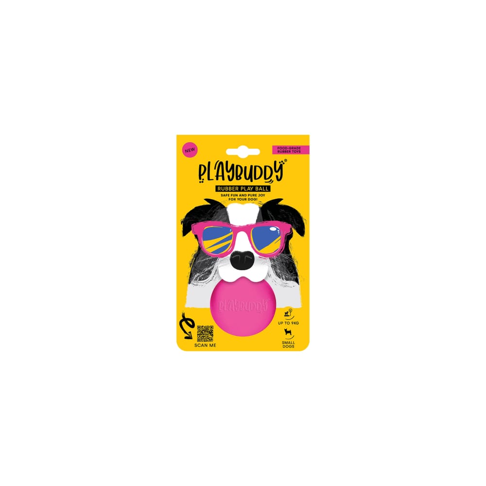 PlayBuddy Ball Small
