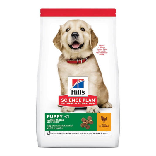 Hills Canine Puppy Large Breed 12kg