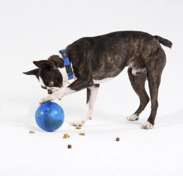 Rogz Tumbler Treat Dispenser Toy