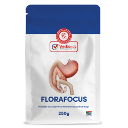VetsBrands FloraFocus 250g probiotic digestive support powder
