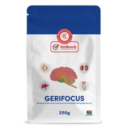 VetsBrands GeriFocus 250g senior pet support supplement