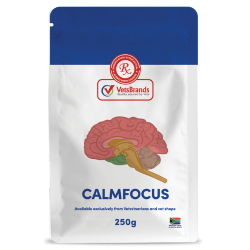 VetsBrands CalmFocus 250g calming supplement for dogs and cats