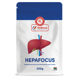 VetsBrands HepaFocus 250g liver support supplement for dogs