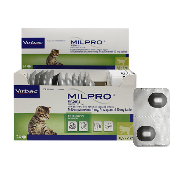 Milpro kitten deworming tablet