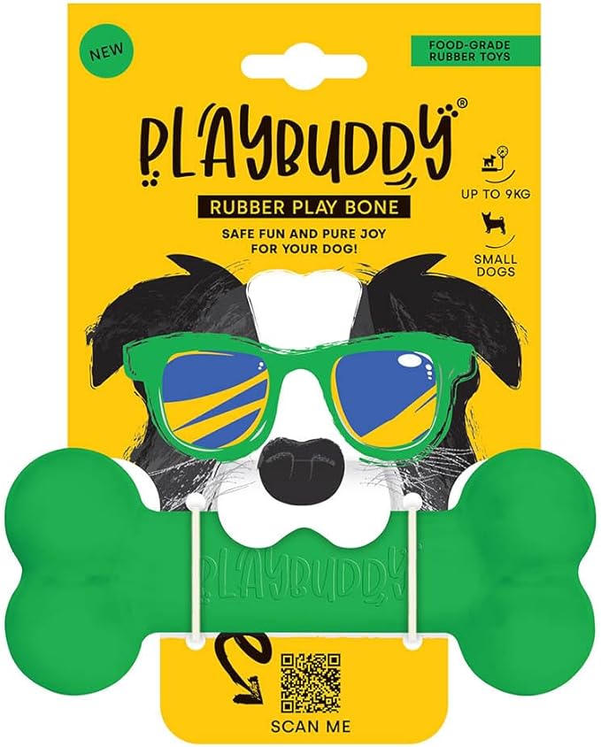 PlayBuddy Bone small dog toy in green