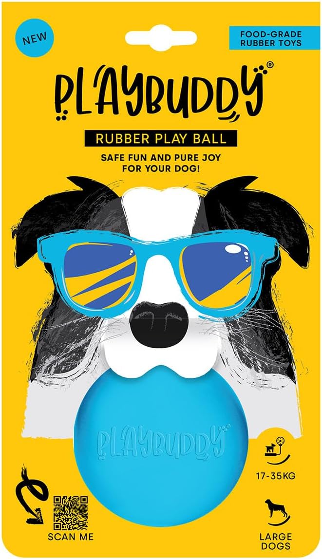 PlayBuddy Ball large dog toy in blue
