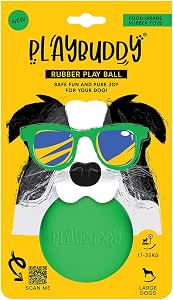 PlayBuddy Ball large dog toy in green