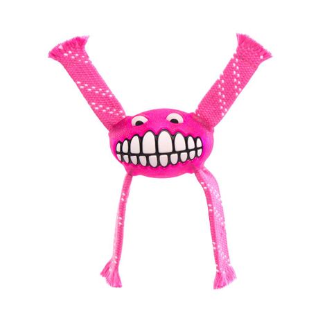 Rogz Flossy Grinz Dog Toy Small