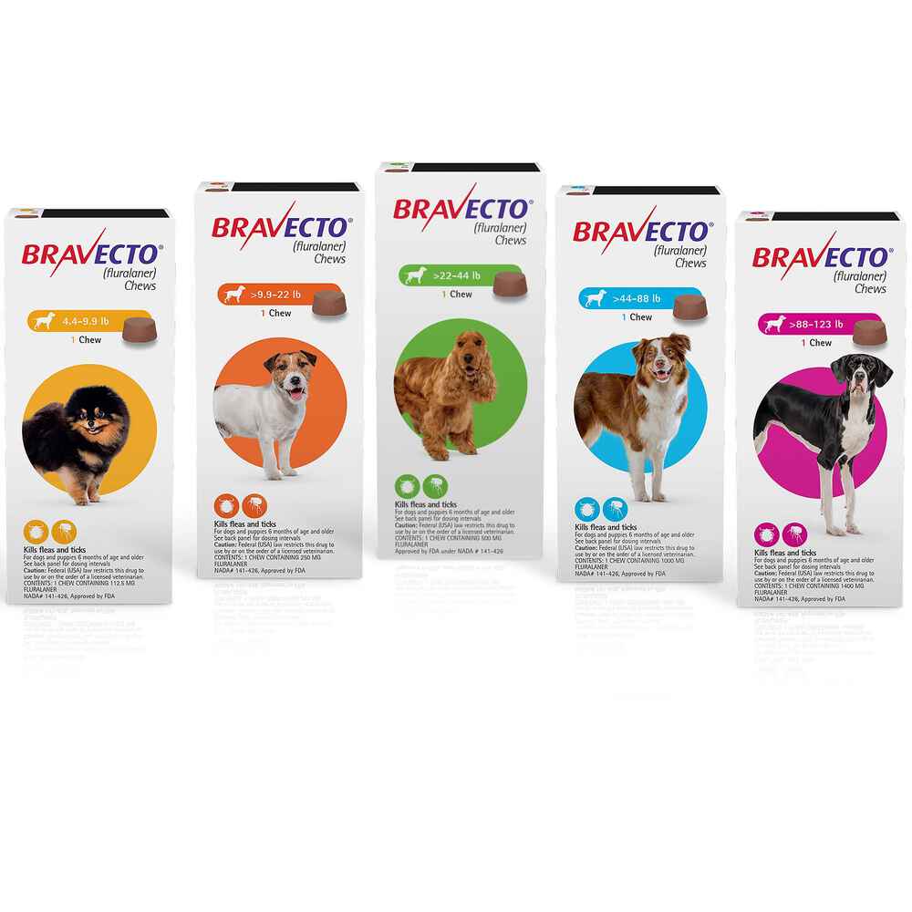 Bravecto Dog Chew Toy 2-4.5kg - product image