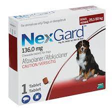 NexGard Dog 25-50kg 1's